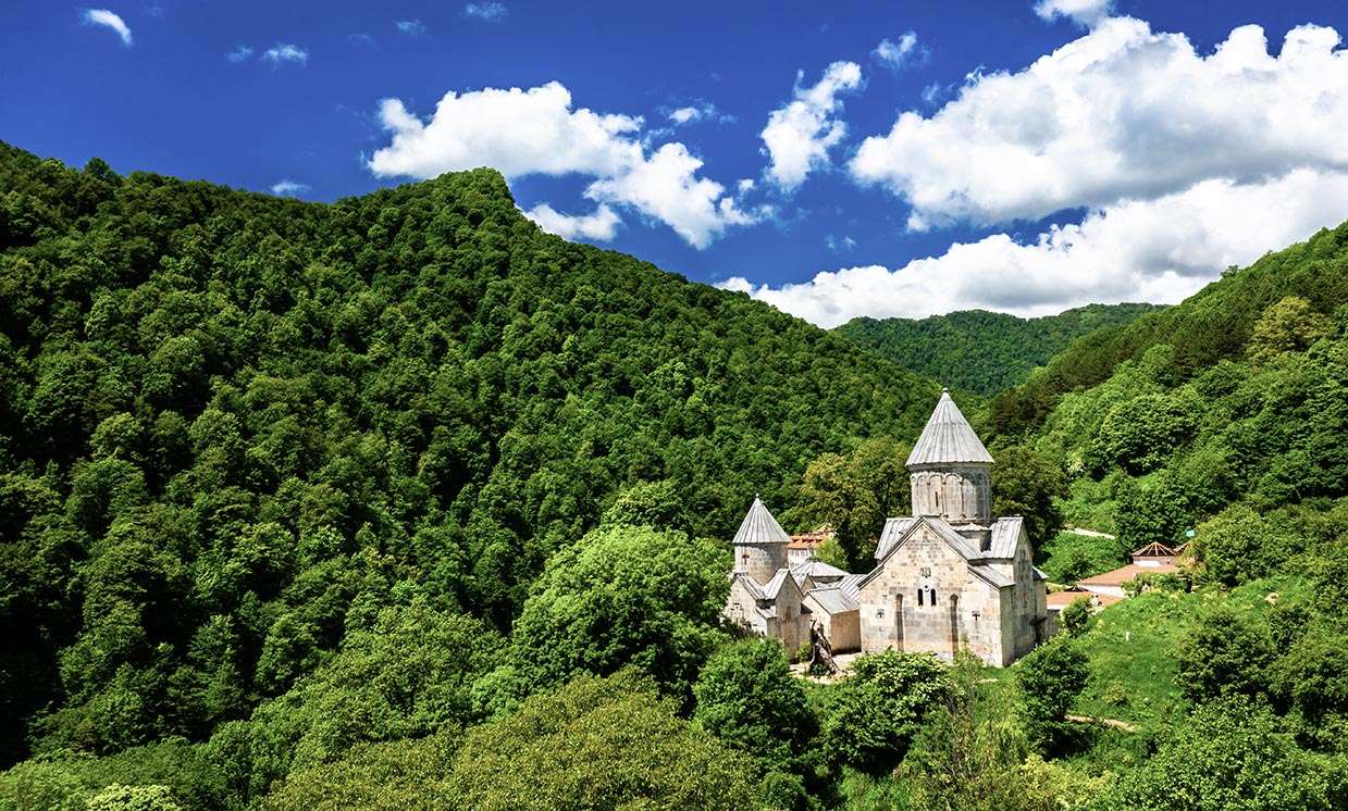 Агарцин